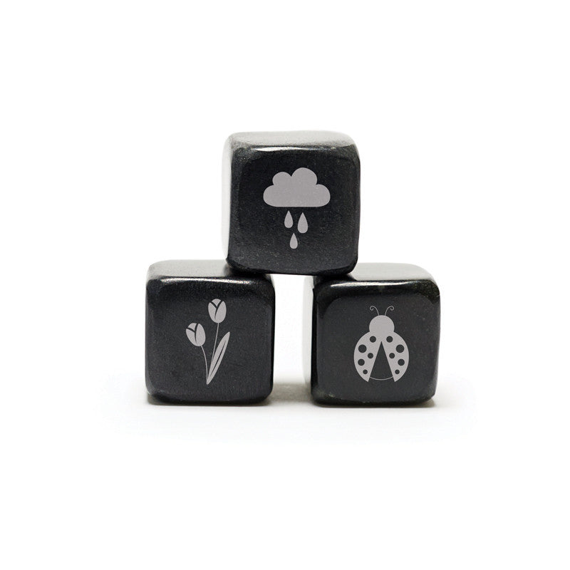 Whisky Stones Icon - Spring